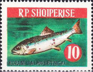 [Fish, type OG]