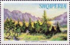 [Wonderful Albania, type SO]