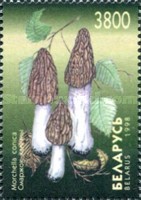 [Mushrooms, type IQ]