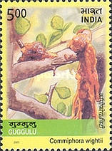 [Medicinal Plants of India, type CCM]