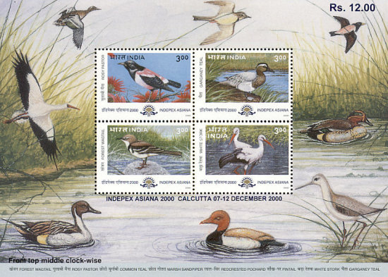 [Indepex Asiana 2000 International Stamp Exhibition, Calcutta - Migratory Birds, type ]