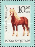 [Horse Races, type BQD]