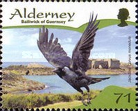 [Native Birds, type KW]