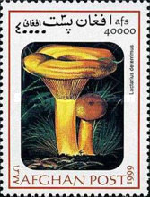 [Mushrooms, type ARV]