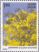 [Flowering Trees, type ZY]