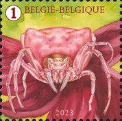 [Spider Splendour, type FNN]