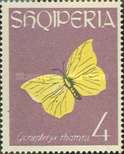 [Butterflies, type MX]