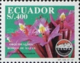 [Orchids of Mazan Forest, type CJB]