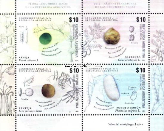 [International Year of Pulses, type ]