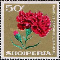 [Flowers, type ADP]