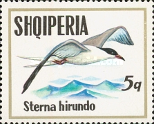 [Seabirds, type AQS]