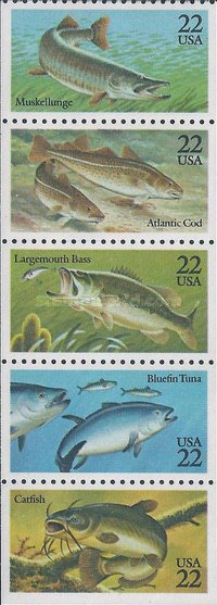 [Fish Booklet Issue, type ]