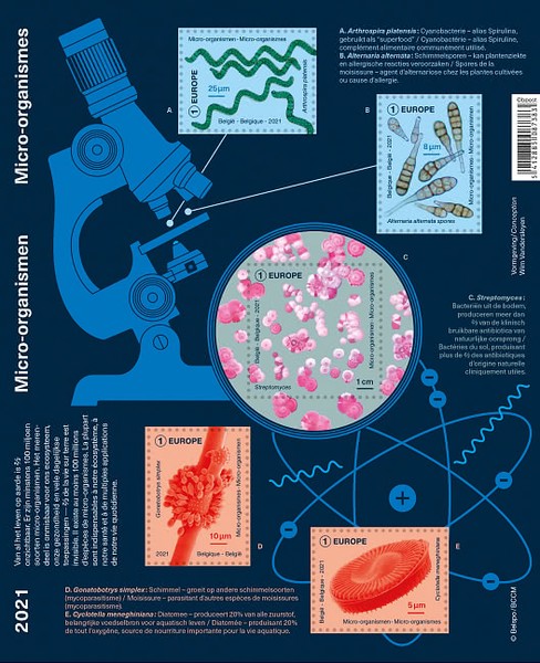 [Micro-Organisms, type ]