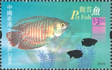 [Aquarium Fish, type AIX]