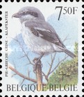 [Birds, type CCY]
