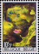 [Catastrophe of nature, type AJG]
