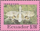 [Insects, type CEB]