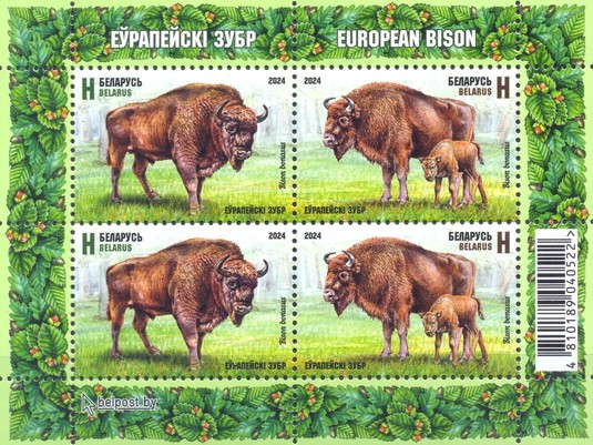 [European Bison, type ]