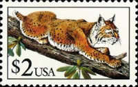 [Fauna - Bobcat, type BTQ]