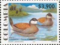 [Ruddy Duck, type ]