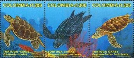 [Turtles, type ]