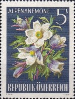 [Alpine Flora, type ACL]