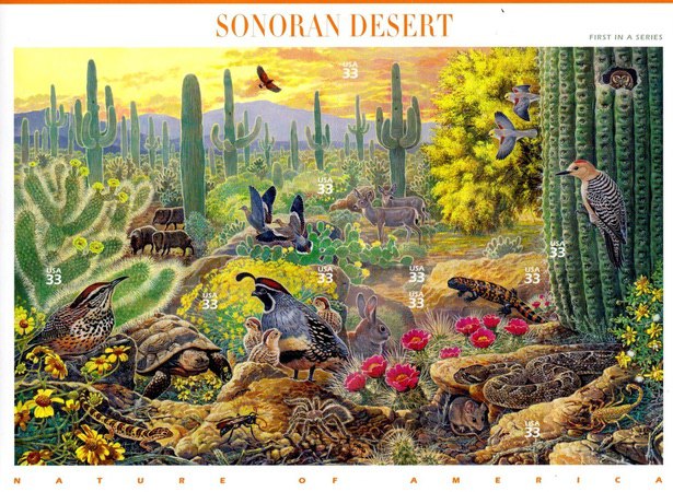 [Nature of America - Sonoran Desert - Self-Adhesive, type ]