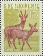 [Animals, type KP]