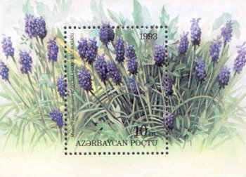 [Flowers, type ]