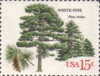 [American Trees, type ASS]