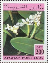 [Flora - Flowers, type AOF]