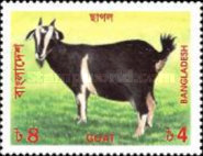 [Livestock, type UI]