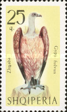 [Birds of Prey, type YW]