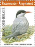 [Fauna - Birds, type EFW]