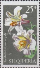 [Flowers - Lilies, type AIJ]