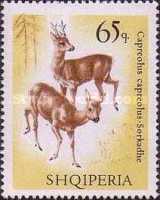[European Roe Deer, type AAS]