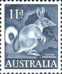 [Animals, type GB]
