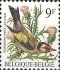 [Birds, type BHH]