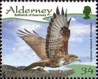 [Birds of Prey, type LN]
