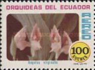 [Airmail - Orchids, type BQW]
