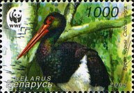 [WWF - Black Stork, type UE]