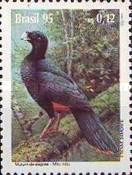 [Birds, type CVL]