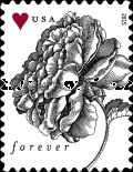 [Vintage Flowers, type GNW]