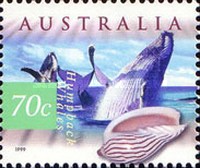 [Costal Animals & Seashells, type BGH]