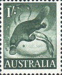[Animals, type FO]