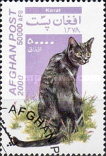 [Cats, type AUX]