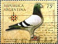 [Carrier Pigeon, type CFY]