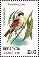 [Birds of Belarus, type HY]