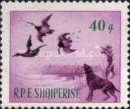 [Hunting Scenes, type UM]