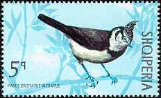 [Birds, type ALV]